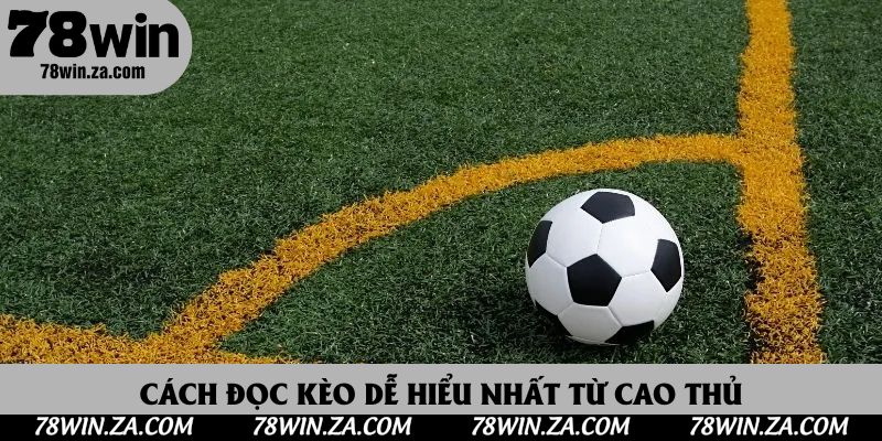 Kèo Chấp 0.5 Là Gì? Cẩm Nang Chơi Kèo Chấp Hòa Chuẩn 2025 3 Cách đọc kèo dễ hiểu nhất từ cao thủ